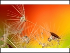 Cool image.
