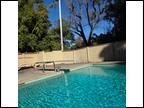 The pool