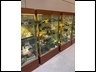 Purdue Display